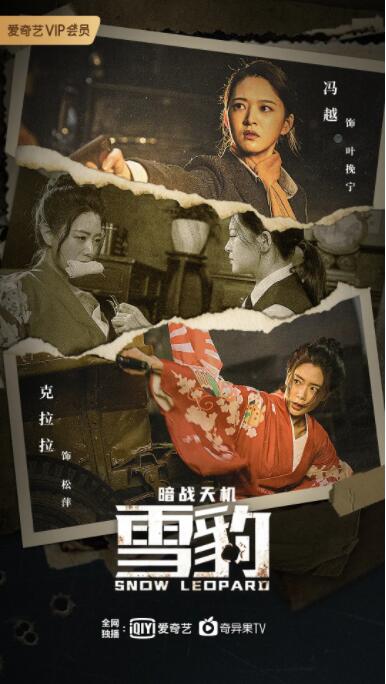 雪豹之暗战天机(全集)