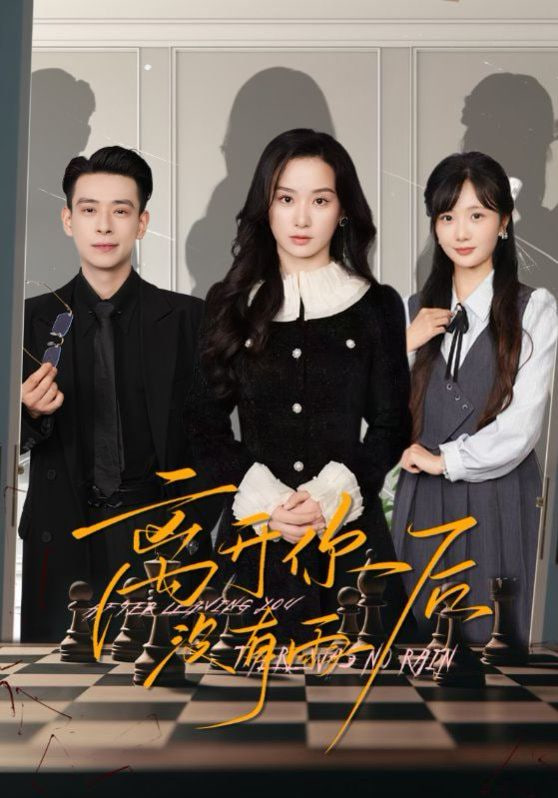 离开你后没有雨(全集)