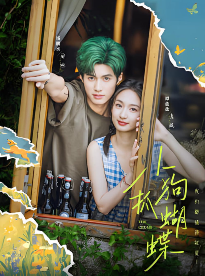 小狗抓蝴蝶(全集)