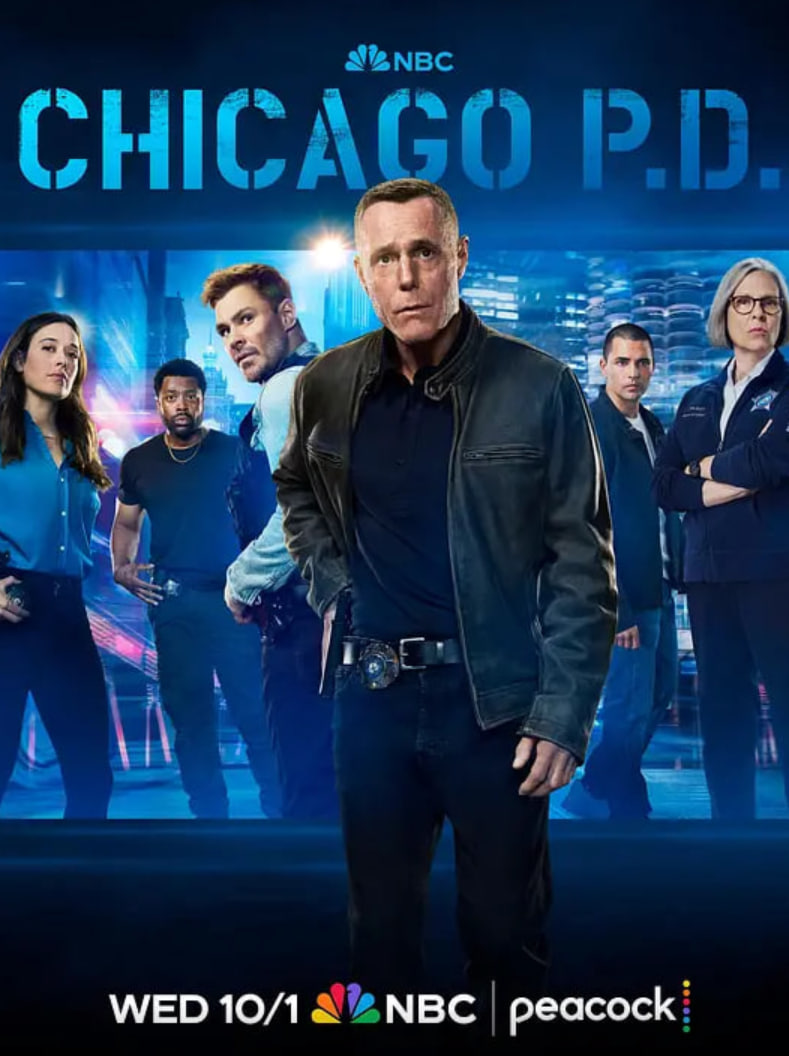 芝加哥警署 第十三季(全集)