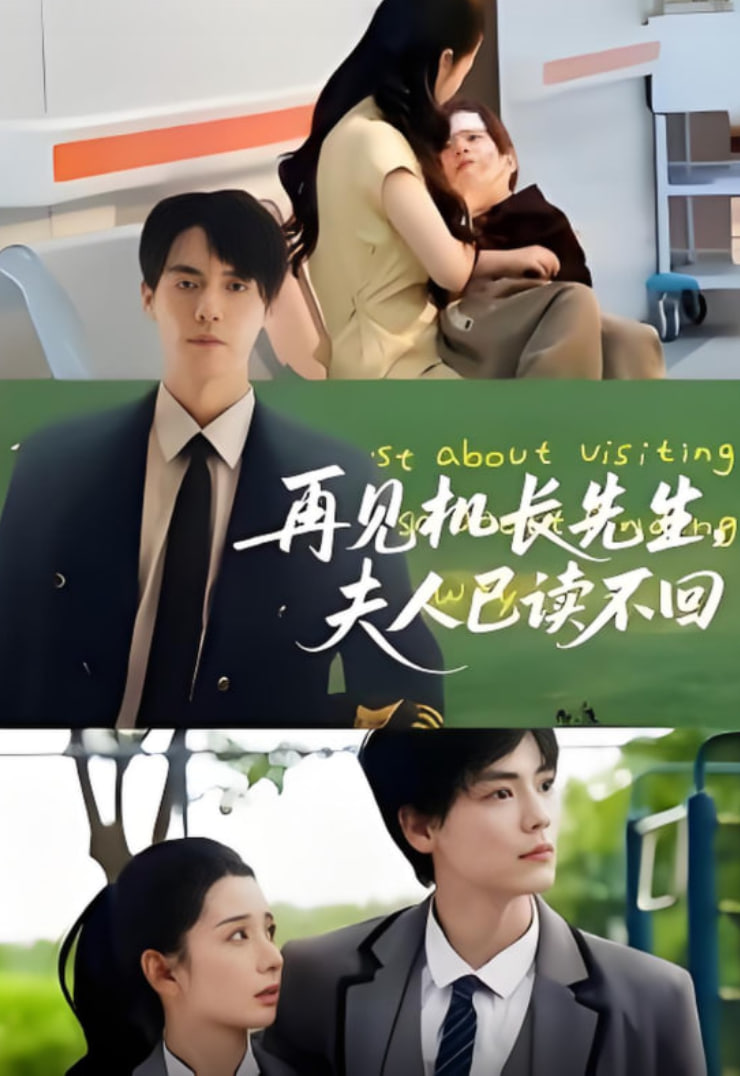 再见机长先生夫人已读不回(全集)