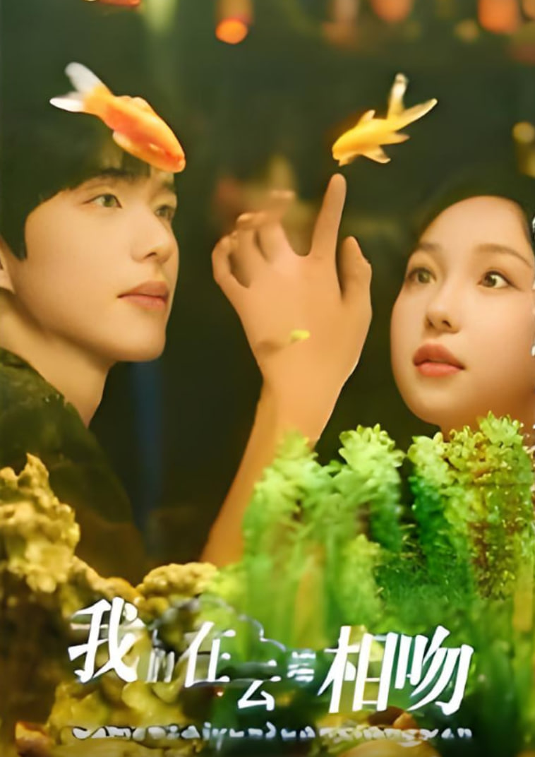 我们在云端相吻(全集)