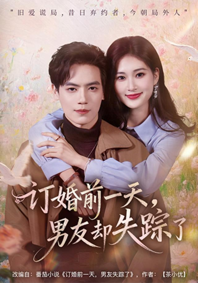 订婚前一天，男友却失踪了(全集)