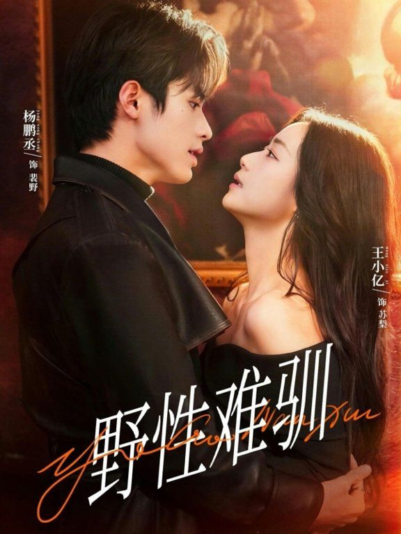 野性难驯（驯野2）(全集)