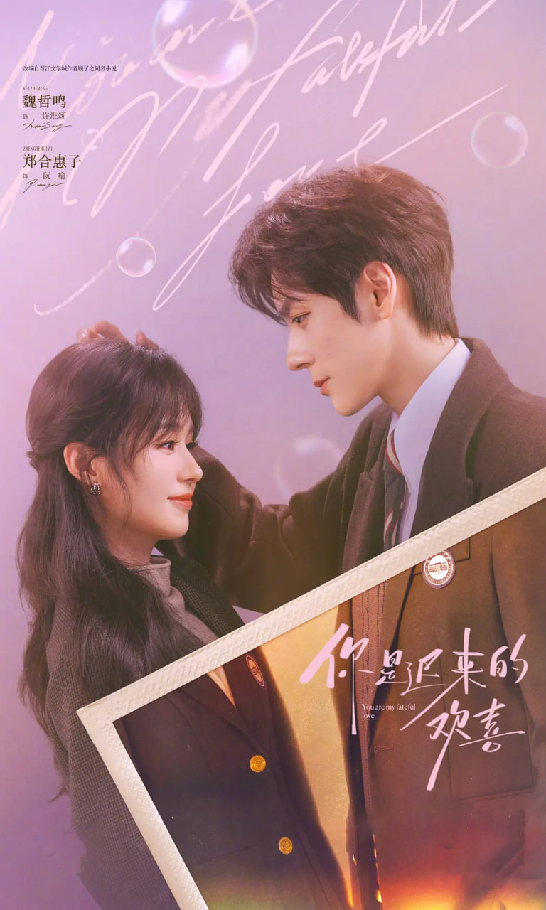 你是迟来的欢喜(全集)