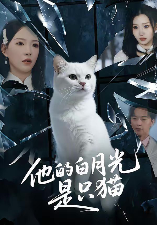 他的白月光是只猫(全集)